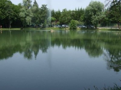 L'étang du Nièvre - 2012